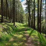 Fh Panoramablick By Interhome Дом отдыха Piesau
