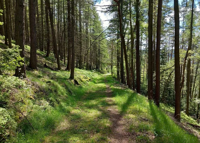 Fh Panoramablick By Interhome Holiday home Piesau